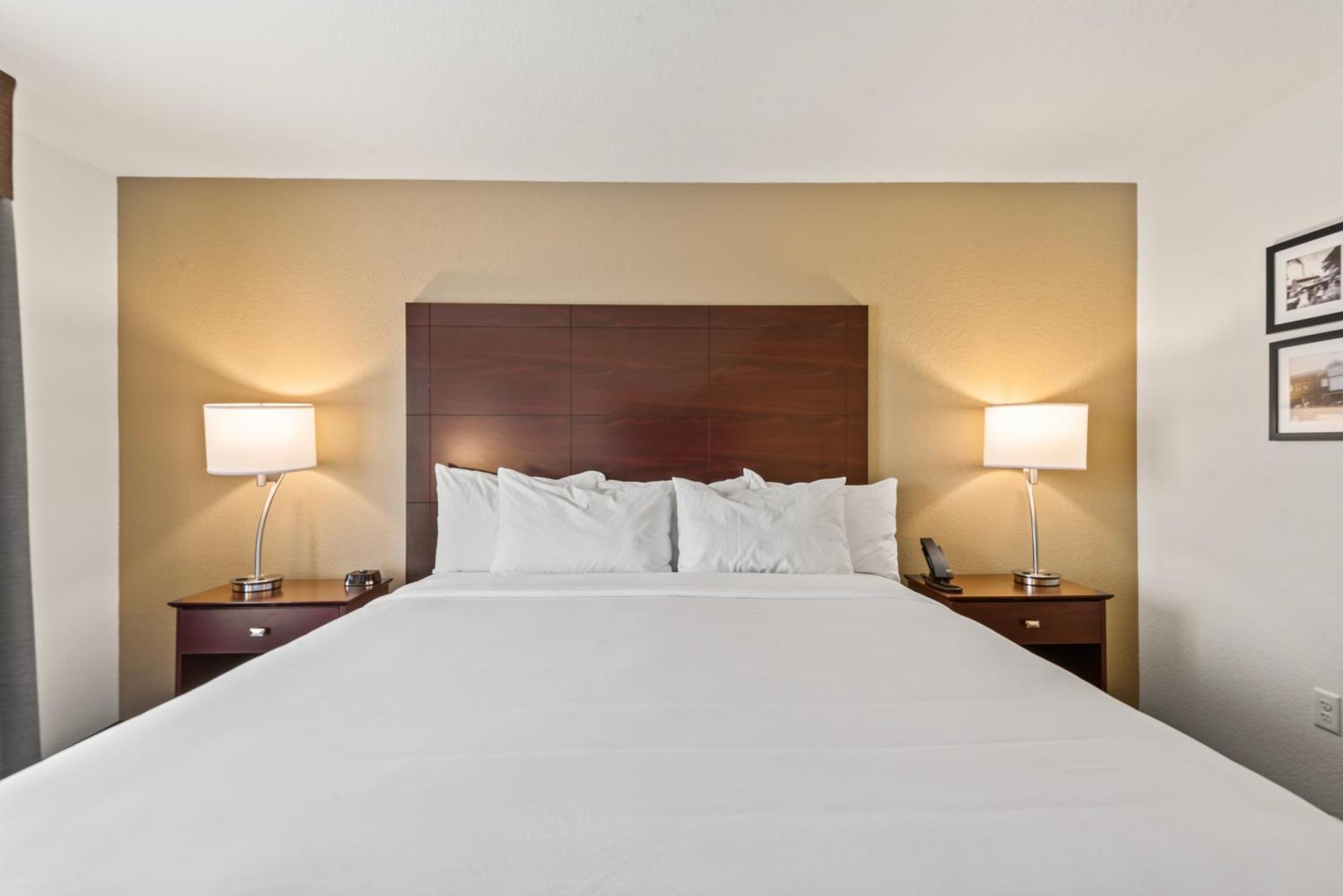 Cobblestone Hotel & Suites - Cullman Zewnętrze zdjęcie